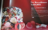 2014  日本直邮 laduree/拉杜丽 圣诞限定彩妆套 包国际ems