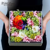 七彩玫瑰鲜花进口生日七夕情人节母亲节送花礼物全国速递礼盒