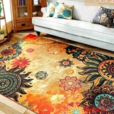 PPD捷成地毯 客厅沙发茶几地毯毯子卧室床边地毯门厅欧式复古地毯