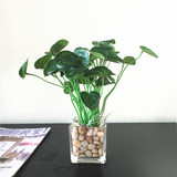 美丽满屋 办公室桌面仿真绿植套装假花盆景家居透明玻璃花瓶花艺
