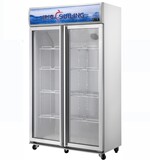 穗凌 LG4-582M2F冰柜商用立式风冷冷藏双门冷柜陈列柜饮料展示柜