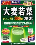 香港代购 日本大若麦叶青汁抹茶味排毒清肠道酵素粉抹茶味 3g