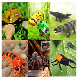 儿童玩具仿真遥控动物电动模型遥控蜘蛛青蛙乌龟蜈蚣鳄鱼整蛊玩具