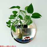 铭威2016壁挂水族箱小型迷你墙装壁式亚克力塑料生态造景鱼缸mwei