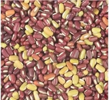 赤小豆非红豆 正宗农家长粒赤豆粮油米面五谷杂粮存野生赤豆500g