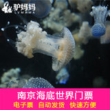 【电子票 自动发】南京海底世界大门票 海洋公园 水族馆 极地馆