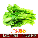 【京城菜篮子】新鲜蔬菜 菜苔 广东菜心（500g）北京同城蔬菜配送