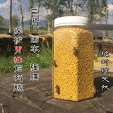 今年最新青海油菜花粉 纯天然蜂花粉不破壁 一斤包邮 自产自销的