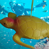 软胶仿真乌龟 儿童趣味早教玩具海洋世界鱼缸装饰道具 特价包邮