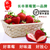 张町精品长丰草莓，自产自销新鲜水果长丰草莓，纯天然绿色健康
