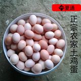 淮安土鸡蛋绿壳蛋有机柴鸡蛋 草鸡蛋 月子鸡蛋 纯粮散养20枚包邮