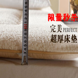【天天特价】羊羔绒加厚床垫被榻榻米垫子可折叠双人保暖床褥子