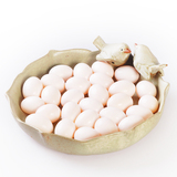 【天天特价】农场散养新鲜纯粮食鸽子蛋40枚装顺丰包邮 孕婴辅食