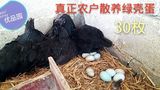 容县贵妃故乡 绿壳鸡蛋有机蛋 农家散养营养无激素新鲜乌鸡蛋30枚