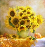 精准印花法国DMC正品十字绣客厅卧室餐厅花卉欧式油画 唯美向日葵