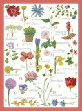 法国DMC十字绣套件 手工材料包 花草植物-字母花
