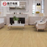 扬子地板 强化复合地板 超实木健康系列真木纹型 美国胡桃 YZ693