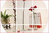 [二级品]斜口透明单支玻璃花瓶简约时尚家居酒店装饰餐桌台面花瓶