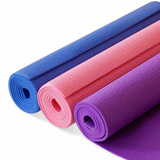 瑜伽垫 健身垫 防滑运动毯子 仰卧起坐垫 地毯 地垫  野外铺垫