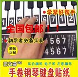 云之曲手卷钢琴/电子琴数字简谱贴 49/61/88键钢琴练习键盘贴纸