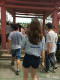 日本代购moussy2016正品夏款 百搭后背字母刺绣花朵短袖衬衫上衣