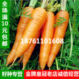 蔬菜种子 七寸参胡萝卜 阳台庭院盆栽蔬果种子 七寸人参胡萝卜
