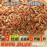 红糙米有机红香米农家红香米自产红粳米月子红大米五谷杂粮500g