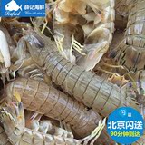 北京闪送鲜活海鲜皮皮虾 琵琶虾虾爬子富贵虾 海鲜水产1斤10-12只