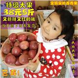 【宝妈果园】广西新鲜水果百香果批发 西番莲鸡蛋果大果 包邮