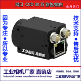 高速 千兆网 30万像素 彩色 CCD 网口 工业相机 GIGE 工业摄像头