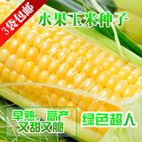超甜水果玉米种子 绿色超人 甜玉米种子  好吃高产易种植 3袋包邮