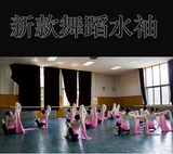 练功服藏族舞蹈演出服装民族古典舞蹈练习水袖戏曲京剧女秧歌服饰