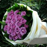 绍兴鲜花速递33支紫玫瑰花束特价促销同城配送鲜花快递节日预订