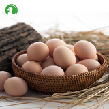 【天天特价】土鸡蛋 正宗苏北土鸡蛋农家散养 新鲜草鸡蛋包邮
