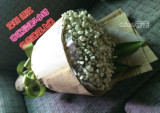 满天星花束特别创意花束欧式深圳湛江市区免费送花上门