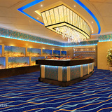 华德威尔顿高档地毯WS星级酒店 宾馆 宴会厅大堂会议室走廊地毯