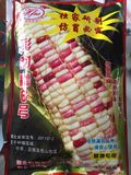 新种子新种子新种子新种子彩甜糯6号 一斤包装 甜糯玉米 水果玉米