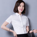 职业装短袖衬衫女夏季修身韩版白色衬衣娃娃领清新大码正装工作服