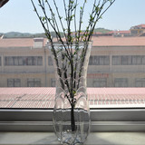 超大号透明玻璃落地花瓶 富贵竹实用养花花瓶 欧式客厅特大号花瓶