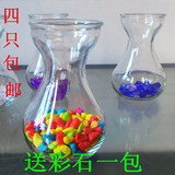 加厚透明玻璃花瓶富贵竹插花器客厅摆件装饰品风信子种球水培瓶