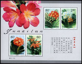 2000-24M 君子兰(小全张)小型张 邮票 集邮 收藏