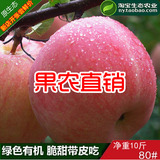 烟台苹果水果吃的新鲜山东栖霞红富士胜陕西阿克苏冰糖心洛川10斤