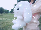 日本Lolita垂耳兔双肩包 超萌兔子背包包邮 软妹毛絨玩偶娃娃礼物