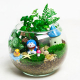 苔藓微景观龙猫办公室桌面DIY小盆景创意迷你新奇植物生态瓶摆件