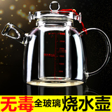 玻璃燕窝炖盅隔水炖煮玻璃壶 电磁炉耐热养生全玻璃烧水壶煮茶壶