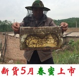 黄土高原吕梁山农家自产深山纯天然土蜂蜜百花蜜山西特产原蜜包邮