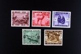 外国邮票比属刚果1939动物5全MNH原胶无贴