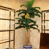 特价仿真植物大型盆栽芭蕉树假树酒店摆放绿植香蕉树过胶塑料盆景