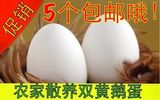 农家散养大鹅蛋新鲜孕妇去胎毒双黄蛋绿色有机土鹅蛋6个包邮