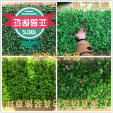 仿真草坪人造塑料假草坪人工绿色草皮地毯学校幼儿园藤条植物墙